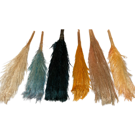 ASSORTED PAMPAS GRASS